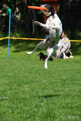 Supermischling2012 308