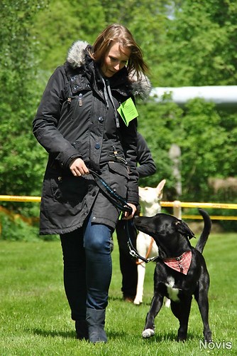 Supermischling2012 191
