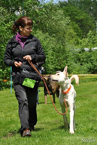 Supermischling2012 194