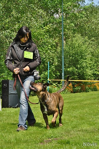 Supermischling2012 195