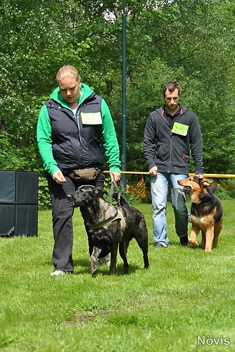 Supermischling2012 197