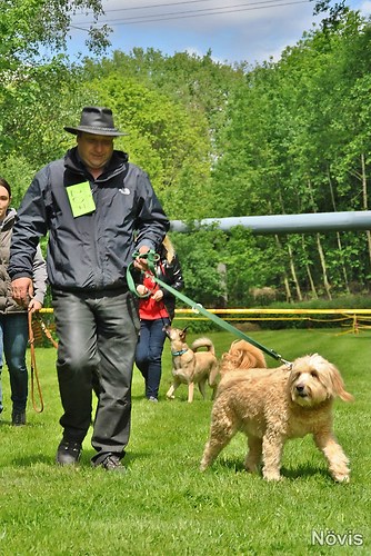 Supermischling2012 200