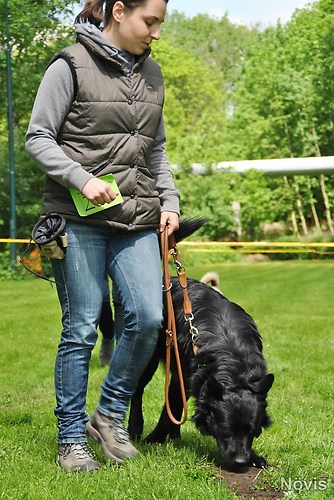 Supermischling2012 202