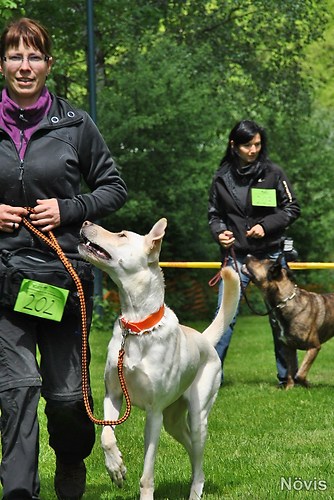 Supermischling2012 206