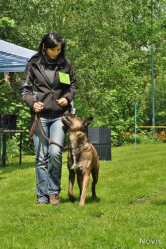 Supermischling2012 208