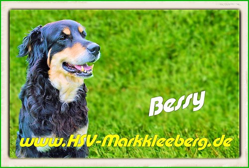 Aufkleber roh1 bessy7