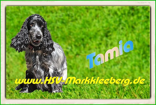 Aufkleber roh1 tamia3