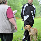 Gehorsam 2012
