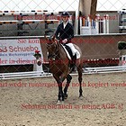 Dressreitprfg-L-trens