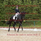 Dressurpferdeprfg. Kl.M