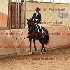Dressurpferdeprfg. Kl.A