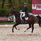 Youngster-Dressurprüfung Kl.S Kandare