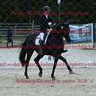 Dressurprüfung Kl.S Kandare