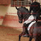 Dressurprüfung Kl. S Kandare