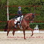 Dressurprüfung Kl. S +++(Grand Prix)