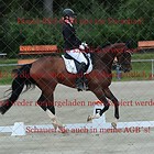 Dressurreiterprüfung Kl.L++Kandare