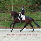 Dressurpferdeprfg.Kl.L (DL3)