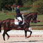 Dressurreiterprüfung Kl.M