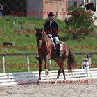 Dressurpferdeprfg. Kl.A