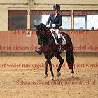 Dressurpferdeprfg.Kl.L