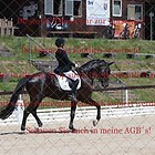 Dressurpferdeprfg. Kl.M