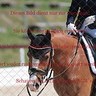 Dressurpferdeprfg.Kl.L