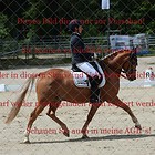 Dressurprüfung Kl.M Kandare