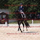 Dressurprüfung Kl.M Trense