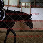 Dressurpferdeprfg. Kl.L