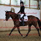 Dressurpferdeprfg. Kl.A