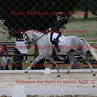 Dressurprüfung Kl.M Kandare