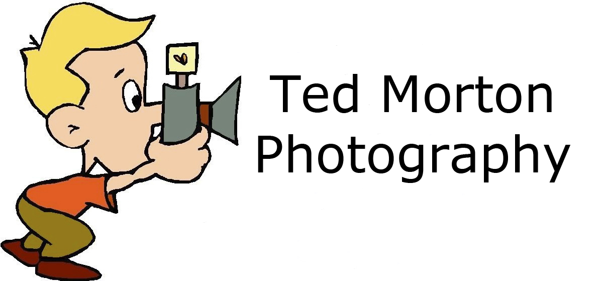 Ted Morton Photography