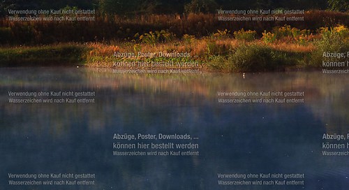 Am See