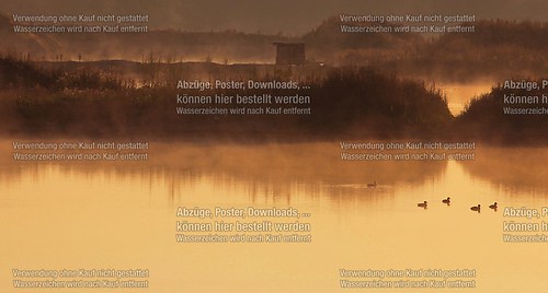 Sonnenaufgang am Teich