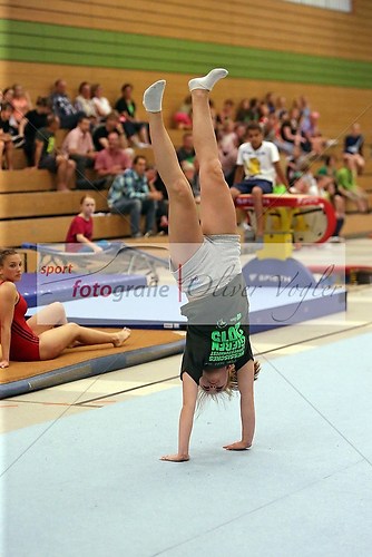 Gauturnfest des Turngau Mittelhessen in Grossen-Linden am 22.06.