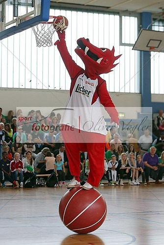 Weibliche Jugend U16, Laenderspiel Deutschland - Niederlande am  (130629_OV_U16DEUNL0481)