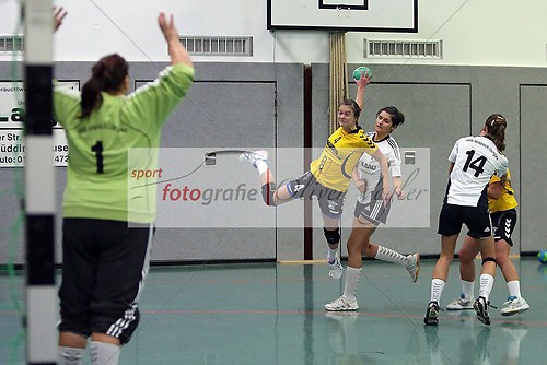 HSG Nordeck/Winnen/Allendorf/Londorf - HSG Anspach/Usingen am 12 (131012_OV_NORDECK0027)