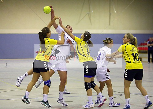 HSG Wettenberg - HSG Nordeck-Winnen/Allendorf/Londorf am 24.11.2 (131124_OVWETT0091)