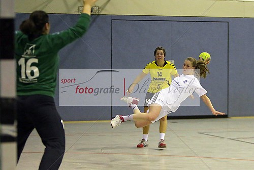 HSG Wettenberg - HSG Nordeck-Winnen/Allendorf/Londorf am 24.11.2 (131124_OVWETT0118)