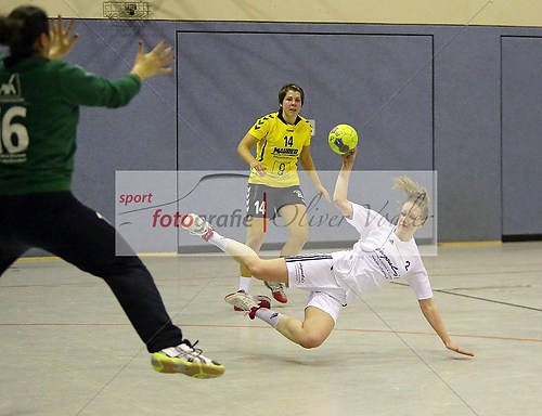 HSG Wettenberg - HSG Nordeck-Winnen/Allendorf/Londorf am 24.11.2 (131124_OVWETT0120)