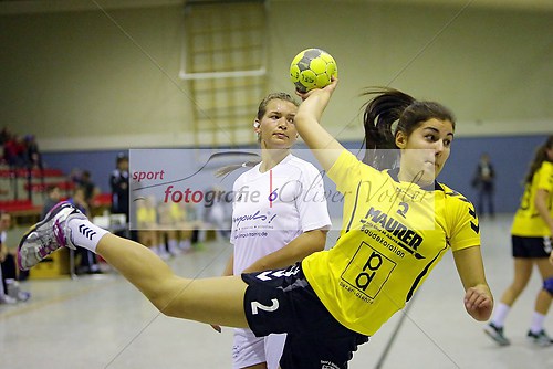 HSG Wettenberg - HSG Nordeck-Winnen/Allendorf/Londorf am 24.11.2 (131124_OVWETT0371)