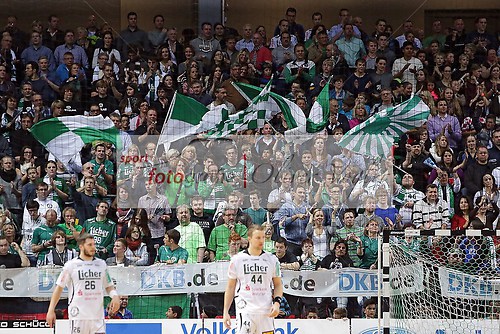 HSG Wetzlar - TV Emsdetten am 29.11.2013 (131129OVHSGTVE1145)