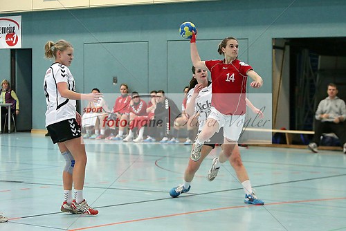 TV Mainzlar - HSG Wettenberg am 19.01.2014 (140119_OV_MAINZL0482)