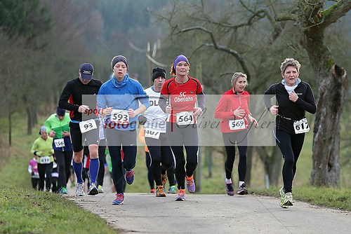 Limes Winterlauf 15km in Watzenborn-Steinberg am 18.01.2014 (140118_OV_WILAUF0351)