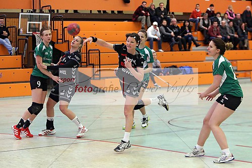 HSG Kleenheim - Roude Leiw Bascharage am 26.01.2014 (140126_OV_KLEEN0245)