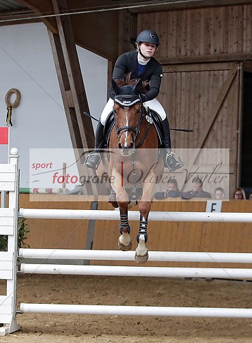 Reitturnier Lich, Springpruefung Klasse M am 13.04.2014 (140413_OV_LICHREIT0730)