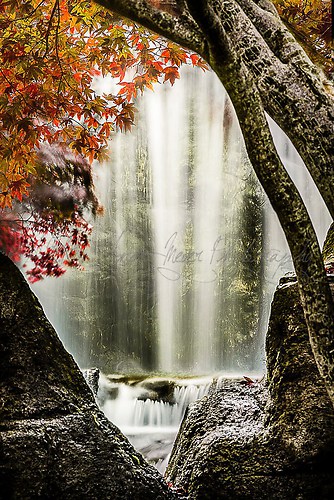 Heide Park - Wasserfall