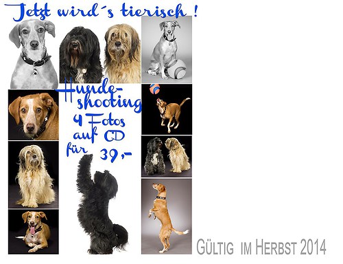 Hunde Stopper-1schrift 10x15neu
