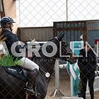 (8) Punktespringprüfung Kl. A** 105cm