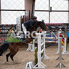 (12) Springprüfung Kl. M* m. Siegerrunde 120cm